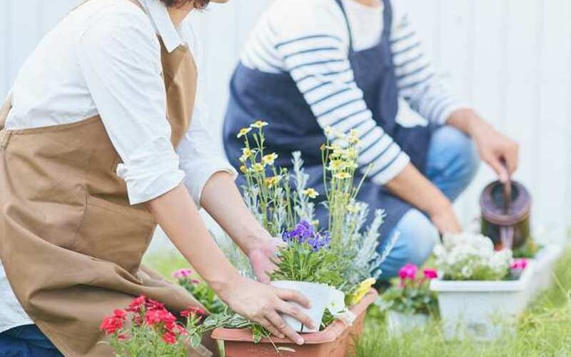 Zunanja korita za rože